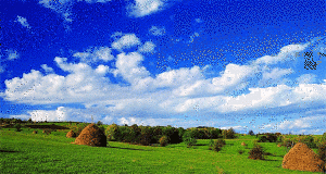 sumadija-300x160.gif, 37 KB